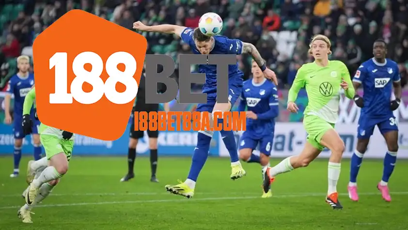 Cả Wolfsburg và Hoffenheim đều đã hết mục tiêu ở mùa giải năm nay. (Ảnh: Internet)